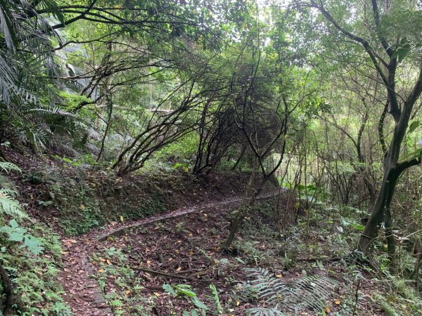 大崎棟古道、騎龍古道2772357