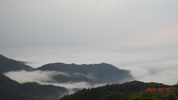 3/12&17陽明山追雲趣再見雲瀑&雲海1302445