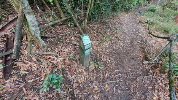 水社大山水社主峰新年二部曲1598817