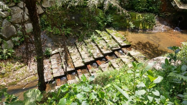 虎山峰 虎山自然步道 虎山溪步道938656