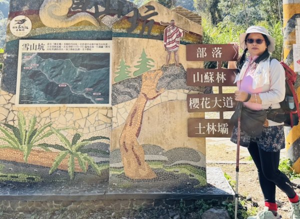 雪山坑登山步道尋巨人2978413