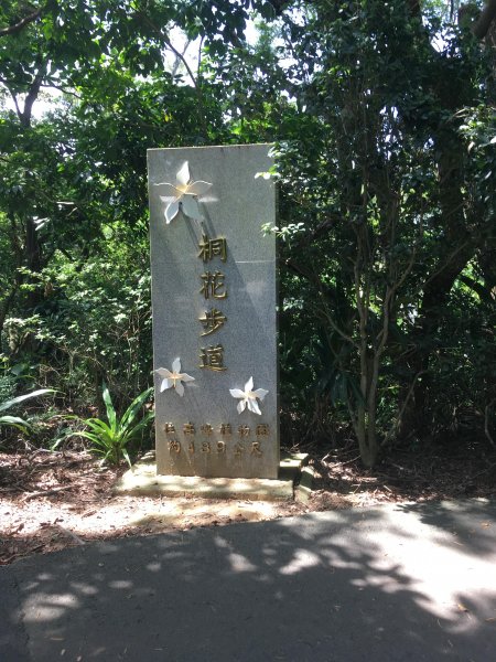 20190907-十八尖山673541