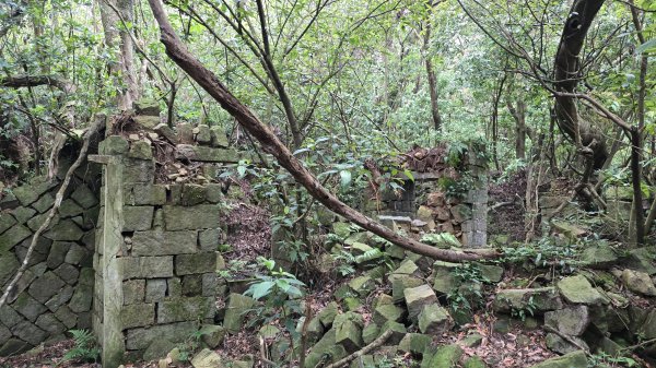 陽明山優質經典步道，興福寮古道，雲霧繚繞的向天池2815625