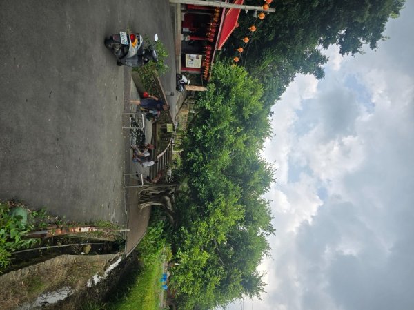 霄裡好風光2839984