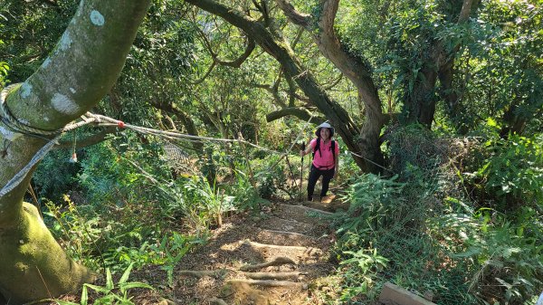 2021-1107 造鎮五城山天上山三粒半永寧1509604