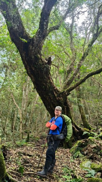 大混李棟重訓2883616