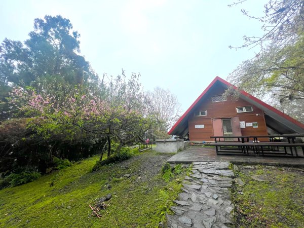 瓦拉米古道-年輕人爬山趣2757952