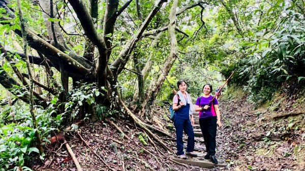 🌈7/26(六)銀河洞+樟樹湖步道+木柵動物園✨FB：熊熊趴爬走🌈2846052