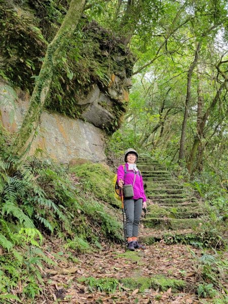 金露天宮-金露山-七星山南峰-恐龍接吻石-小油坑-202403102600441