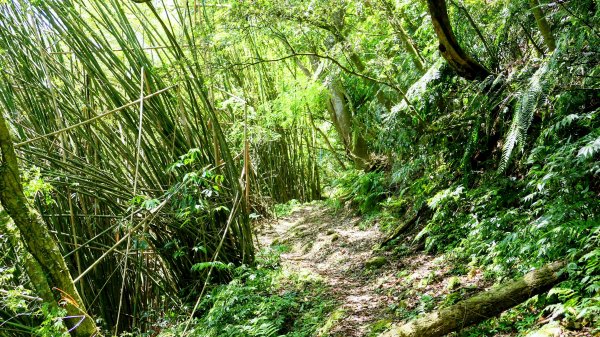 畝畝山。又上說2768162