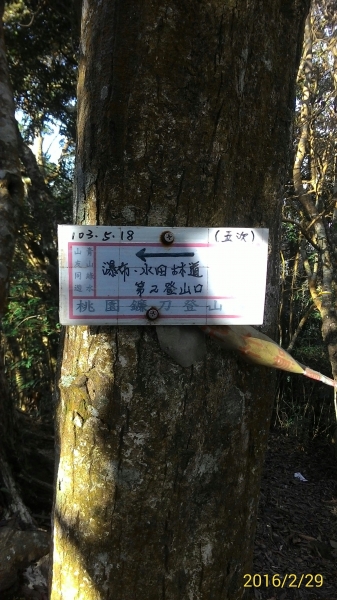 20160229新竹關西蓮苞山,外鳥嘴山31368