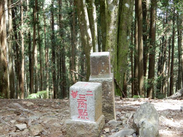 20170826_油羅山160185