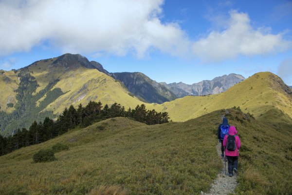 大小劍-油婆蘭全紀錄2674231
