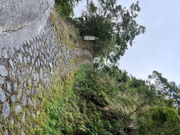 20251013_太麻里山（台東小百岳）2941355