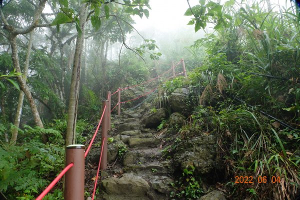 嘉義 竹崎 阿拔泉山1731239