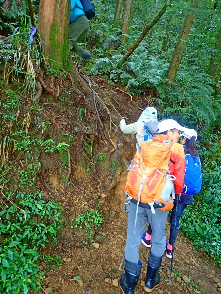 石山悠遊    2019/8/2644247