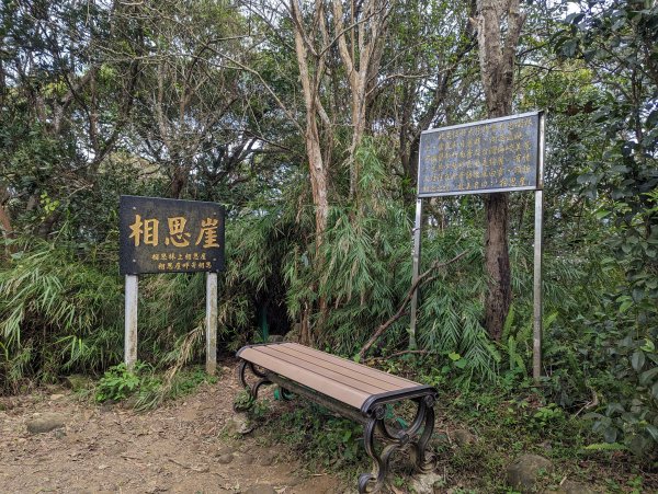 【百大必訪步道】飛鳳山、觀日坪古道1981999