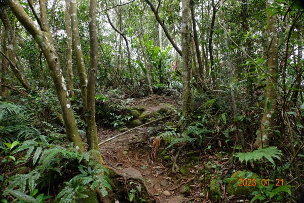 新竹 芎林 雞寮坑山、下橫坑山、芎蕉窩山、牛欄窩山2002550