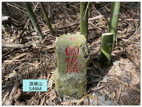 頂埔山 新路線 ( 東勢 )封面