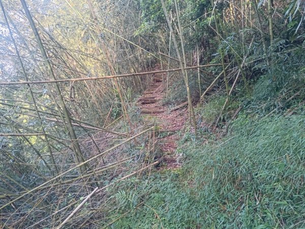 嚼嚼斯古道，嚼嚼斯部落遺址，鱉頭山2606046