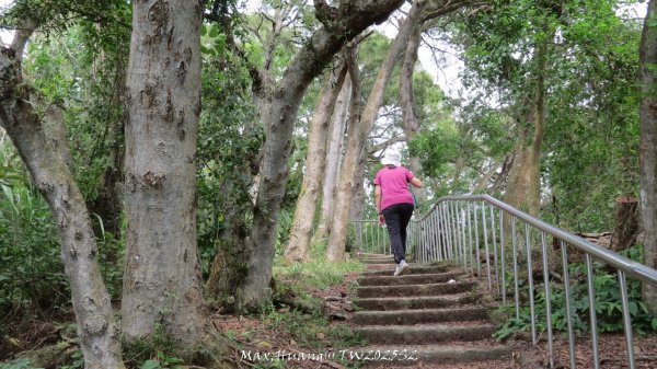 《彰化》稜線雙龍｜田中森林登山步道O型202506292824363
