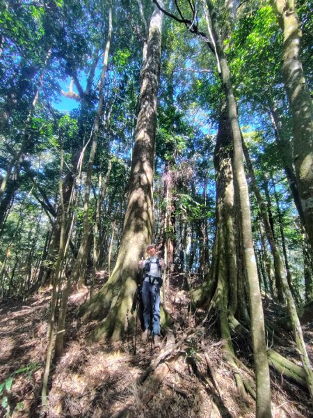 南東眼山連走有勝山2918745