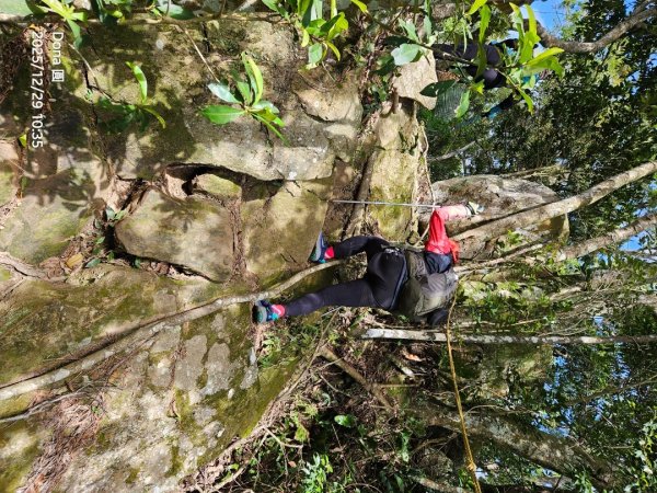 20251229石龜坑山上白石山下白石埤O走+阿姆坪2976671