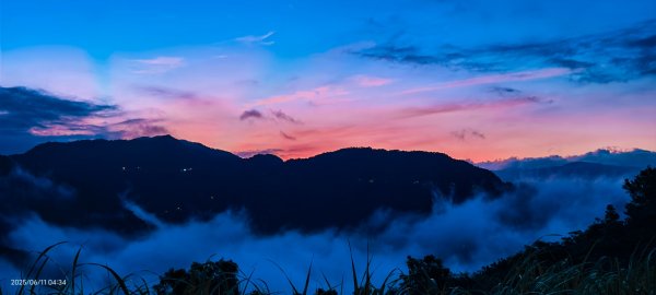 跟著雲海達人山友追雲趣 #草莓月亮 #月圓雲海 #霞光 #日出雲海 #茶園 6/112808758