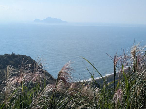 20251108桃源谷到草嶺古道大里天公廟2931461