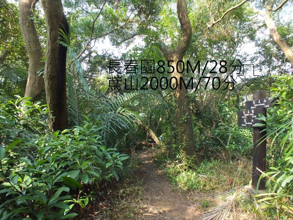 三峽區鳶尾山+福德坑東峰+福德坑山+鳶山彩壁+五十分山+壽山+龍山寺2775758