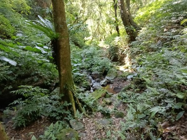 坪林區楣子寮尖+土地公遺址+火燒寮古道+枋山坑古道+枋山坑崙O型2985693