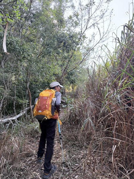 完登新南橫三星-馬馬宇頓山   2026.3.273027493