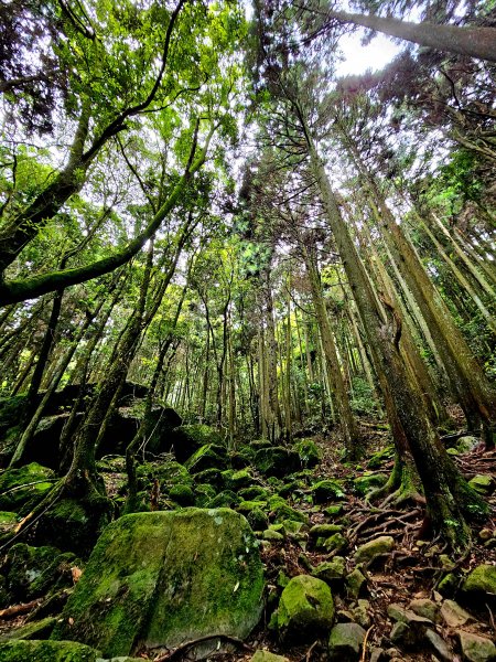 小百岳集起來-加里山2185869