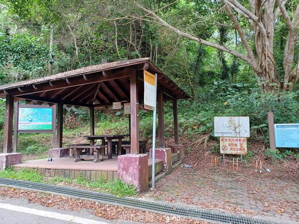 【台中霧峰】低海拔生態林相悠美。 奧山步道、桐林花廊步道、樟樹林步道、北坑溪步道O繞2570473