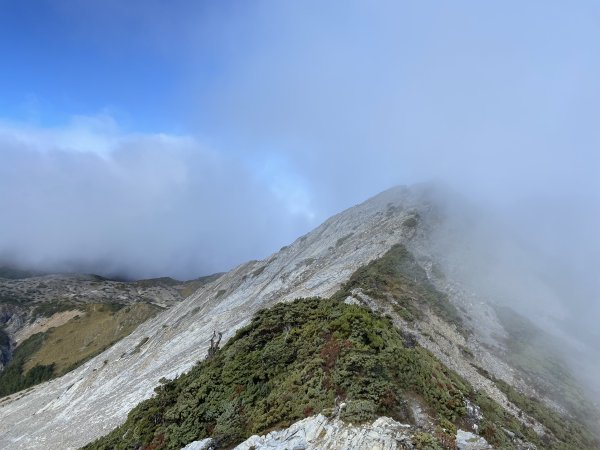 南湖中央尖-------北一段2868242