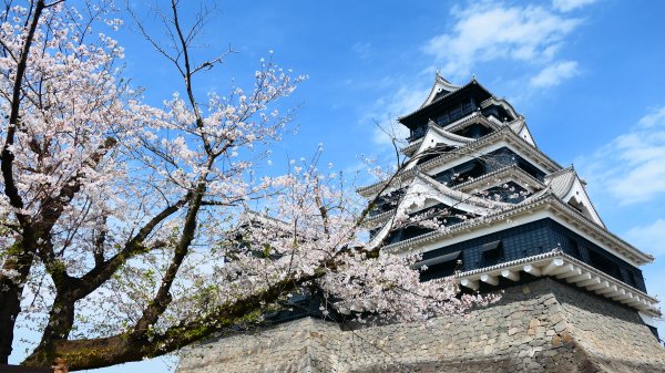 熊本水前寺成趣園,熊本城