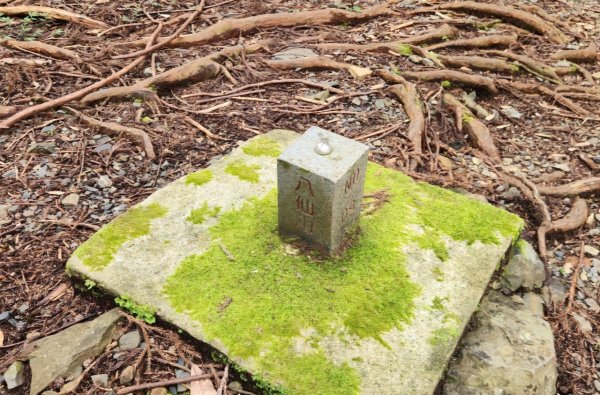 【中級山】五星級步道，谷關七雄馬崙山（八壯士進，斯可巴出）2744962