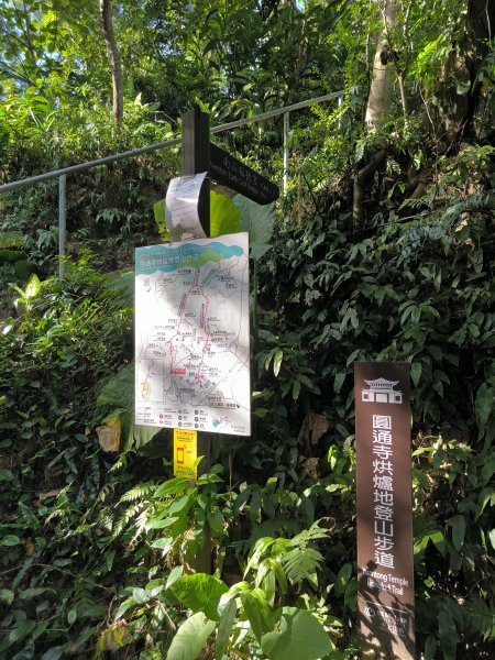 20240923微笑山線：【天上山系】烘爐地土地公段2892460