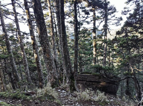 北一段(08/14)陶塞峰 2025_0906~132886952