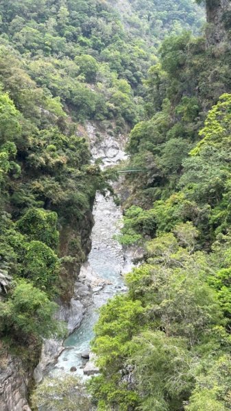 秀林天祥合流綠水文山步道2140193