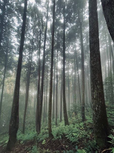 油羅山 2025 09/132890052