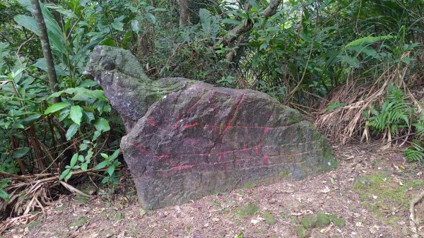 龍虎雙碑縱走2989660