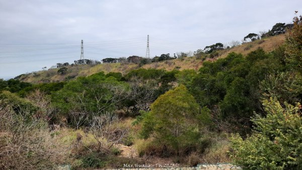《台中》桃李爭妍｜竹坑南寮步道上竹坑山接瑞井步道O繞202502092710054