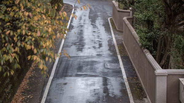 基隆一日雙塔｜山、海、碼頭2684340