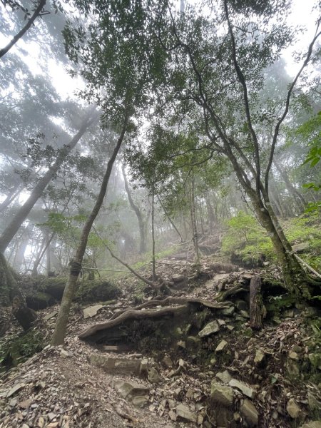谷關七雄 《 馬崙山 》2025 09/062879785