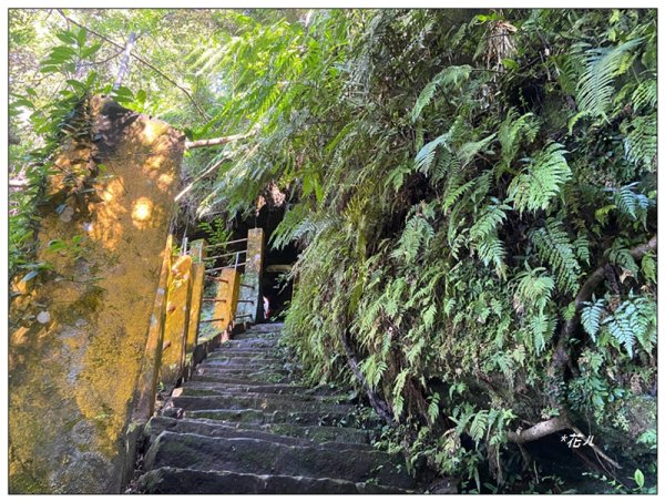 銀河洞瀑布、待老坑山、樟湖山、樟山 連走2791808