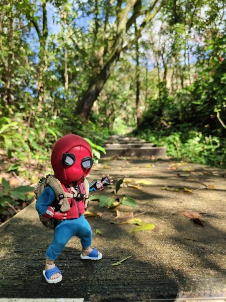 2023.12.14 紅淡山2826461