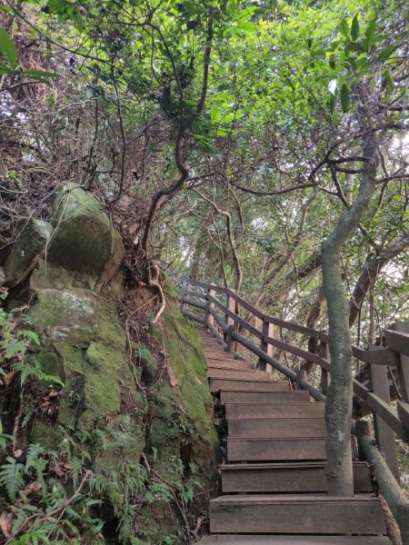 2023.12.08 南勢角山2695816