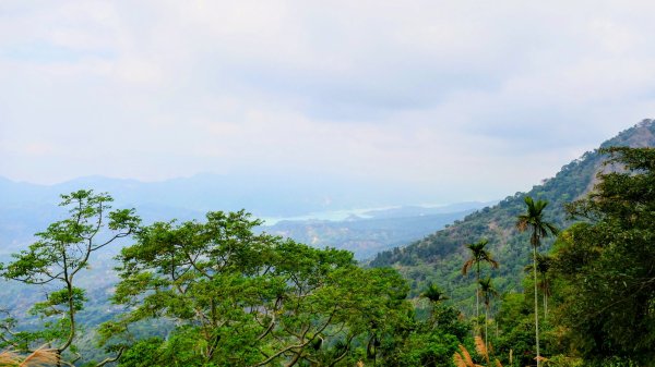 梅嶺竹子尖山2987431