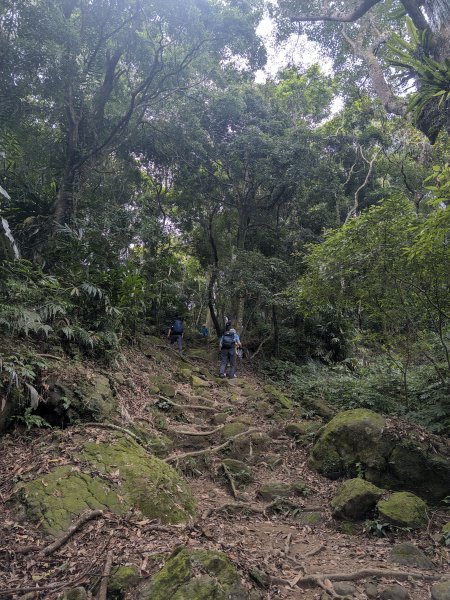 2026.10.09－重遊馬那邦山3133777